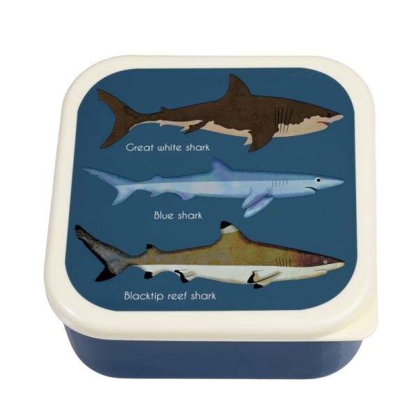 Sharks Snack boxes - Rex London